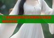 51漫画解锁版免费无限看高清漫画流畅阅读体验